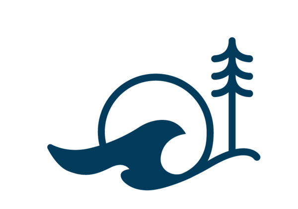 wave and sunrise at base of evergreen tree