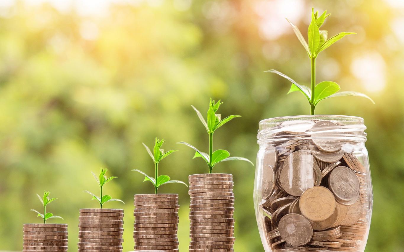 Photo of 4 piles of coins with green plant seedling out of the top in successively larger piles with a jar full of coins at the end with a larger seedling growing from it.  
